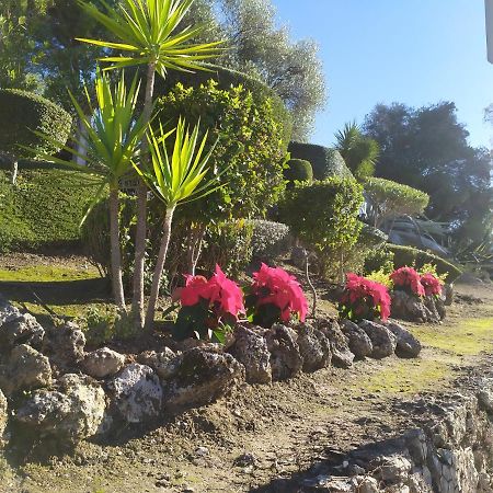 Casa Curro Daire El Bosque Dış mekan fotoğraf