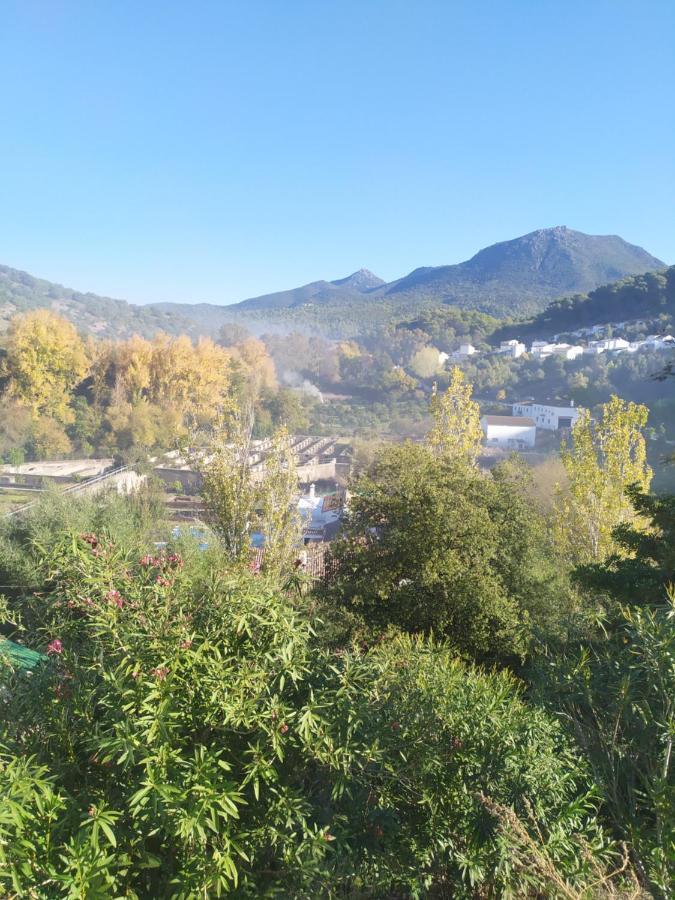 Casa Curro Daire El Bosque Dış mekan fotoğraf