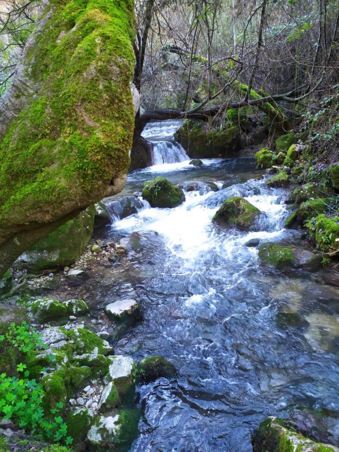 Casa Curro Daire El Bosque Dış mekan fotoğraf